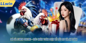 Đá gà LLWIN online góc nhìn toàn diện về rủi ro và an toàn