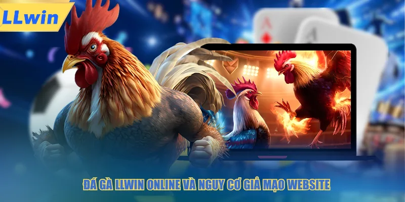 Đá gà LLWIN online và nguy cơ giả mạo website